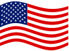 USA Flag